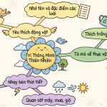 Các dấu hiệu trẻ có trí thông minh thiên nhiên (Naturalist Intelligence)
